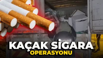 Bolu'da kaçak sigara operasyonu