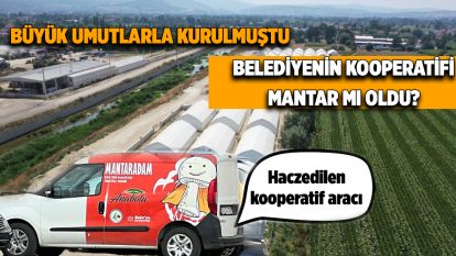 BÜYÜK UMUTLARLA KURULMUŞTU... Belediyenin kooperatifi mantar mı oldu?