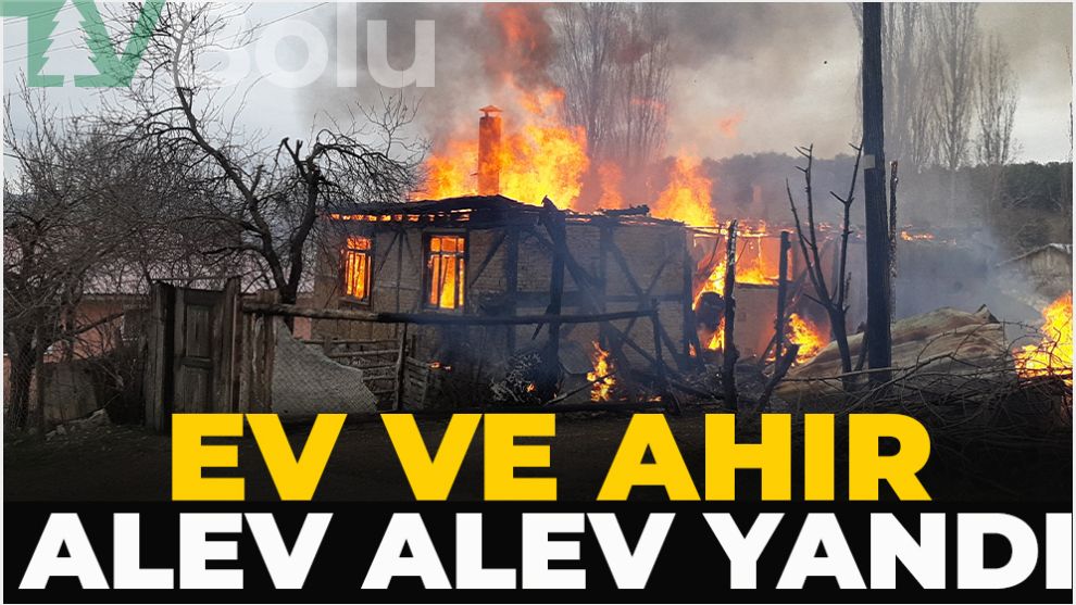 Ev ve ahır alev alev yandı
