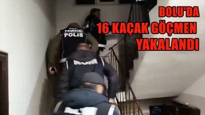 Bolu'da 16 kaçak göçmen yakalandı
