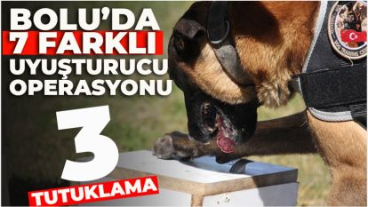 Bolu'da 7 farklı uyuşturucu operasyonu: 3 tutuklama