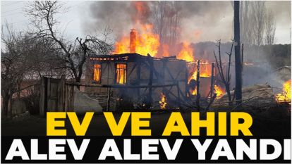 Ev ve ahır alev alev yandı