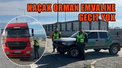 Kaçak orman emvaline geçit yok