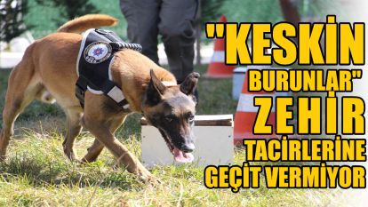 "Keskin burunlar" zehir tacirlerine geçit vermiyor