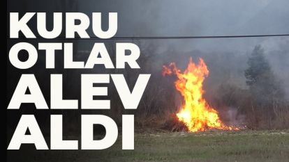 KURU OTLAR ALEV ALDI