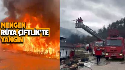 MENGEN RÜYA ÇİFTLİK'TE YANGIN