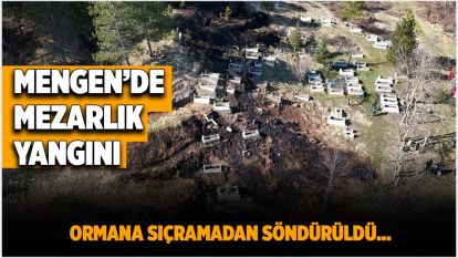  Mezarlıkta çıkan yangın ormana sıçramadan söndürüldü