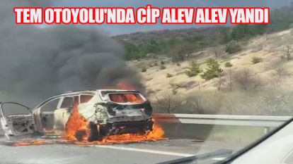 TEM Otoyolu'nda cip alev alev yandı