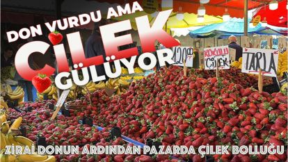 Zirai donun ardından pazarda çilek bolluğu