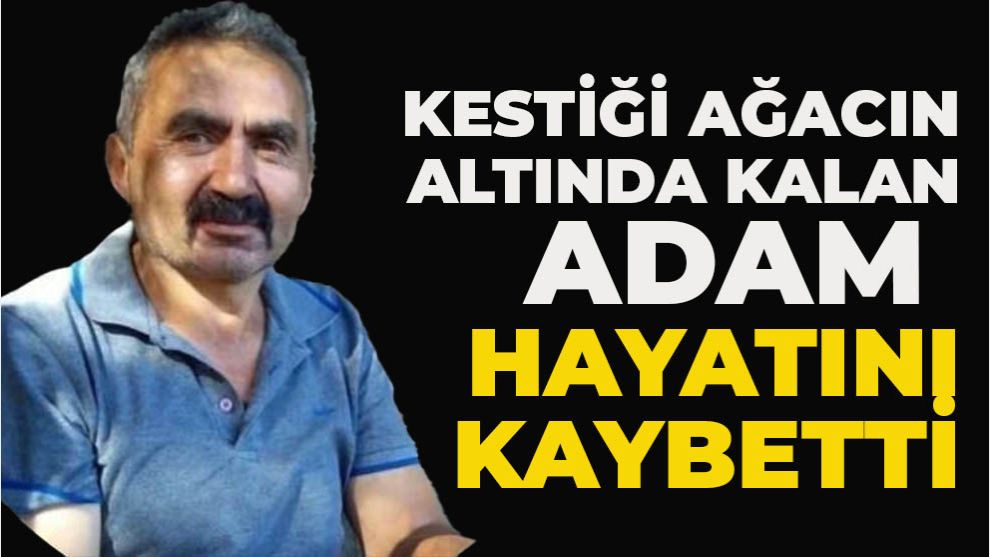 Kestiği ağacın altında kalan adam hayatını kaybetti