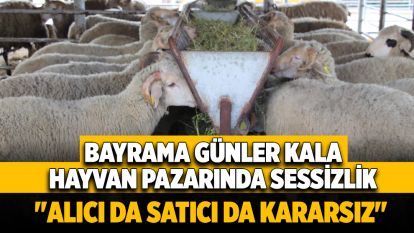 Bayrama günler kala hayvan pazarında sessizlik: "Alıcı da satıcı da kararsız"