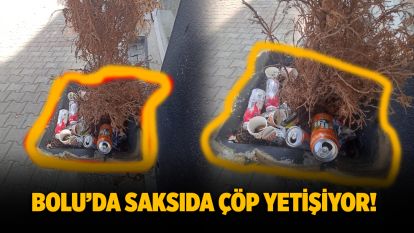 Bolu'da saksıda çöp yetişiyor!