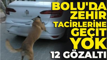 Bolu'da zehir tacirlerine geçit yok: 12 gözaltı