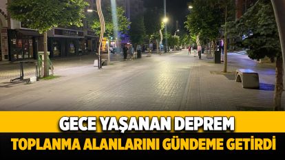 Gece yaşanan deprem, toplanma alanlarını gündeme getirdi...İşte hafızalara kazınması gereken gerçek