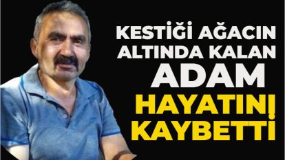 Kestiği ağacın altında kalan adam hayatını kaybetti