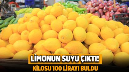 Limonun suyu çıktı! Kilosu 100 lirayı buldu