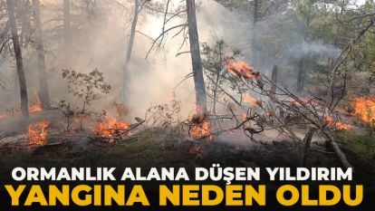 Ormanlık alana düşen yıldırım  yangına neden oldu