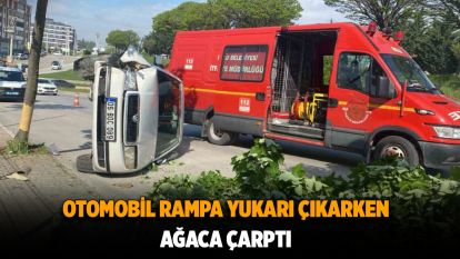Otomobil rampa yukarı çıkarken ağaca çarptı