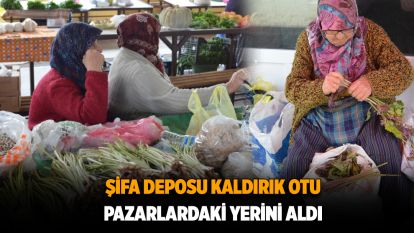 Şifa deposu kaldirik otu pazarlardaki yerini aldı