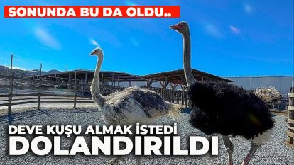 Sonunda bu da oldu..  Deve Kuşu almak istedi dolandırıldı