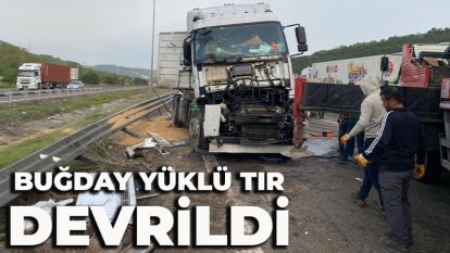 TEM'de sürücüsünün uyuduğu iddia edilen buğday yüklü tır devrildi