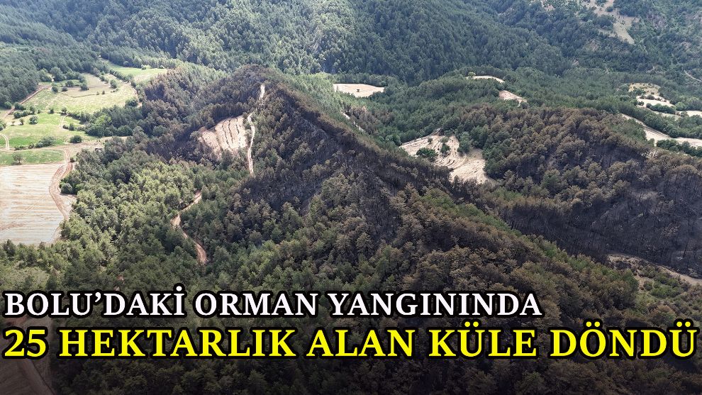 Bolu'daki orman yangınında 25 hektarlık alan küle döndü