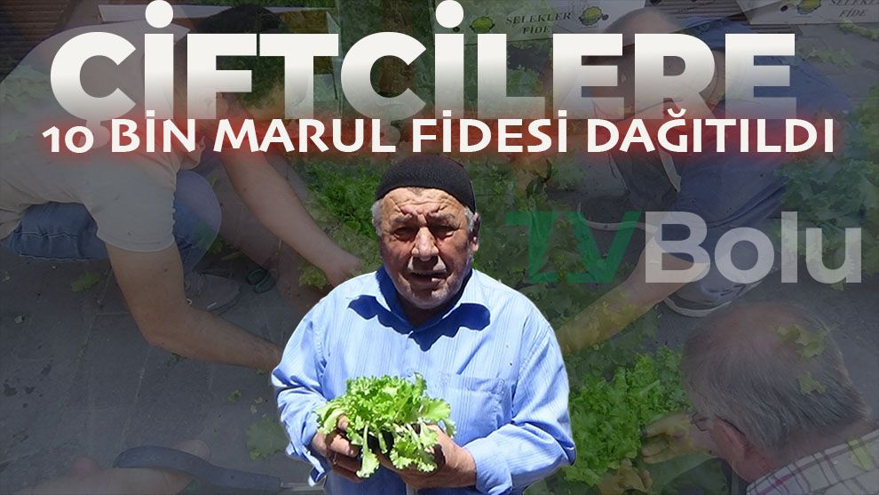 Çiftçilere 10 bin marul fidesi dağıtıldı