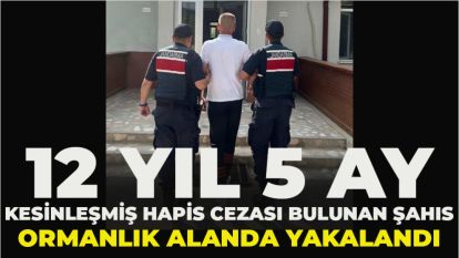12 yıl 5 ay kesinleşmiş hapis cezası bulunan şahıs ormanlık alanda yakalandı