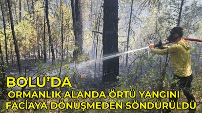 Bolu'da ormanlık alanda örtü yangını faciaya dönüşmeden söndürüldü