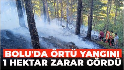 Bolu'da örtü yangını: 1 hektar zarar gördü