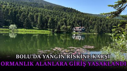 Bolu'da yangın riskine karşı ormanlık alanlara giriş yasaklandı