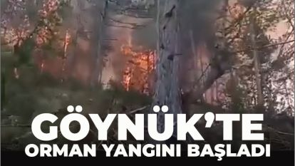 Göynük'te orman yangını başladı: Havadan ve karadan müdahale sürüyor