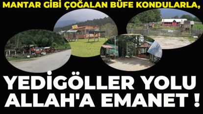 Mantar gibi çoğalan büfe kondularla, Yedigöller Yolu Allah'a emanet !
