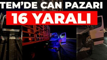 TEM'de can pazarı... Tüp yüklü kamyon ile minibüs çarpıştı: 16 yaralı
