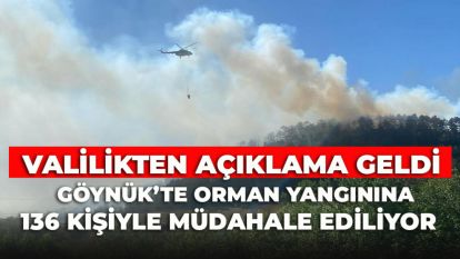 Valilikten Açıklama Geldi : Göynük'te Orman Yangınına 136 Kişiyle Müdahale Ediliyor  