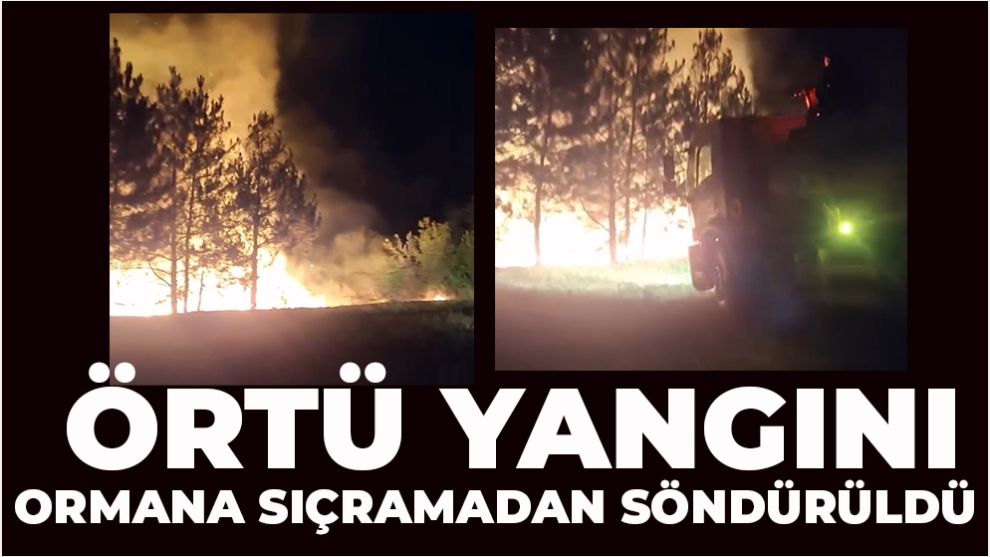 Örtü yangını ormana sıçramadan söndürüldü