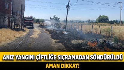 Anız yangını çiftliğe sıçramadan söndürüldü