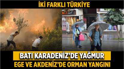 Batı Karadeniz'de yağmur, Ege ve Akdeniz'de orman yangını...İki farklı Türkiye