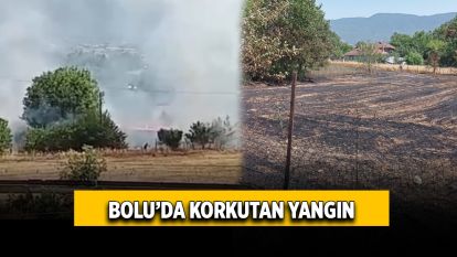 Bolu'da anız yangını korkuttu