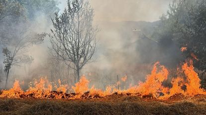 Bolu'da faciadan dönüldü: Alevler evlerin dibine kadar ulaştı