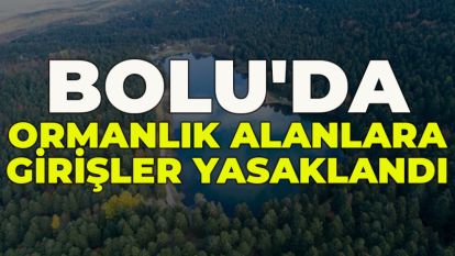 Bolu'da ormanlık alanlara girişler yasaklandı