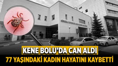 Kene ısırması Bolu'da 77 yaşındaki kadının ölümüne sebep oldu
