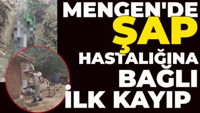 Mengen'de şap hastalığına bağlı ilk kayıp yaşandı