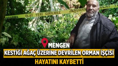 Ormanda kestiği ağaç üzerine devrilen orman işçisi hayatını kaybetti