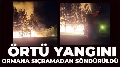 Örtü yangını ormana sıçramadan söndürüldü