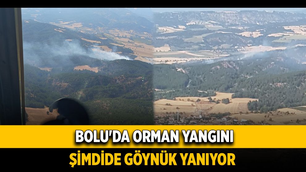 Bolu'da orman yangını