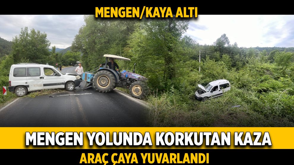 Mengen Yolunda Korkutan Kaza: Araç Çaya Yuvarlandı