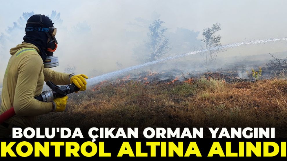 Bolu'da çıkan orman yangını kontrol altına alındı