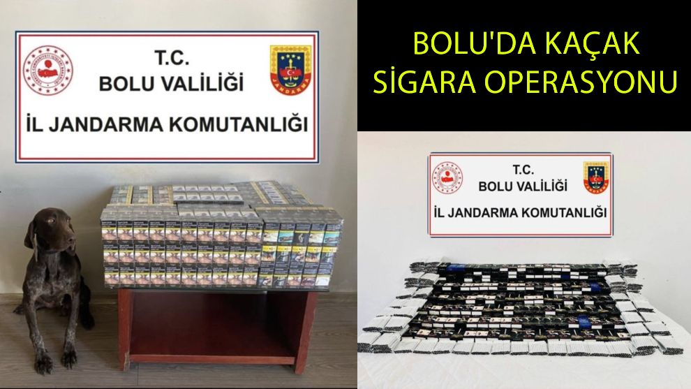 Bolu'da kaçak sigara operasyonu