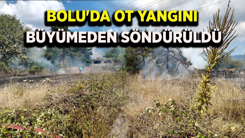 Bolu'da ot yangını büyümeden söndürüldü